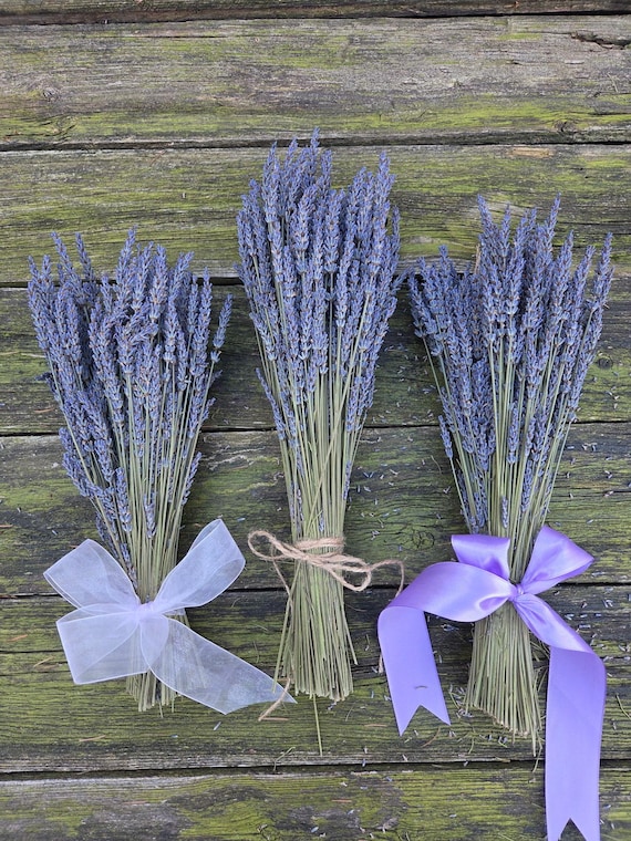 Dried Lavender Bouquets 2026 Harvest!  Beautiful Color 200 Stems Grosso Variety, ONE BOUQUET!