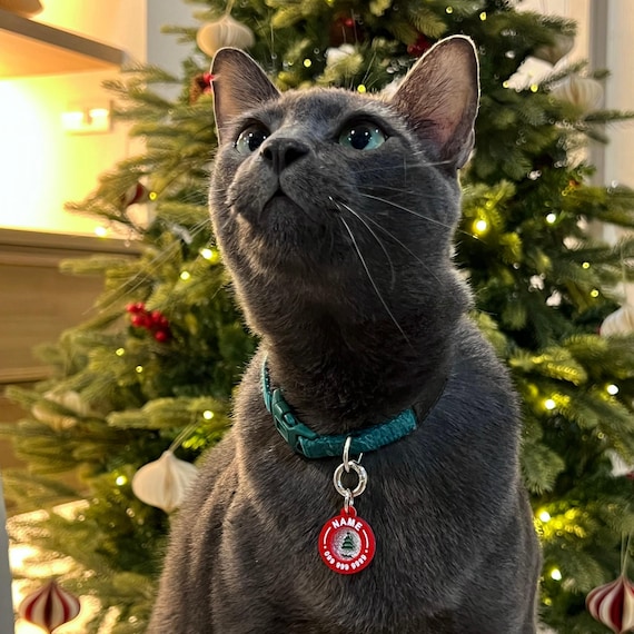 Merry Pop Collection Christmas Personalized Pet ID Tags, Custom - Main Image