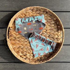 May include: Two dog bandanas with ruffles, featuring a Friends TV show theme. One bandana is gray with orange couches and yellow taxis. The other is light blue with red lobsters and the text "You are my lobster."