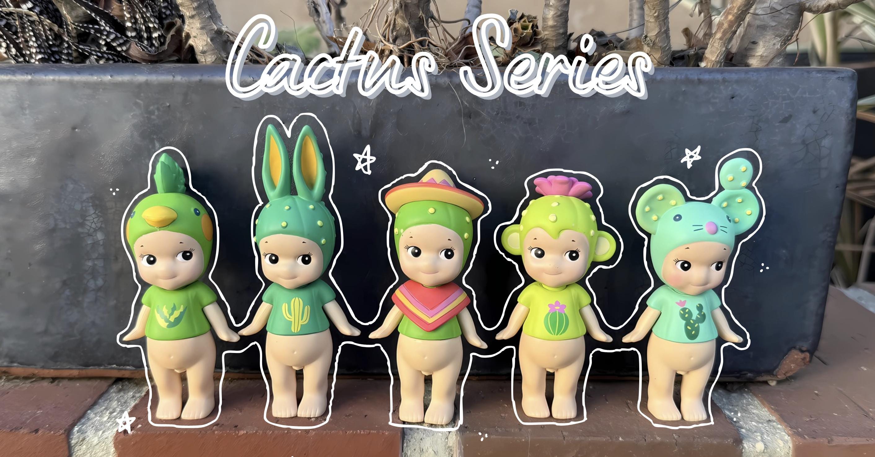 Cactus Series Sonny Angel - Etsy