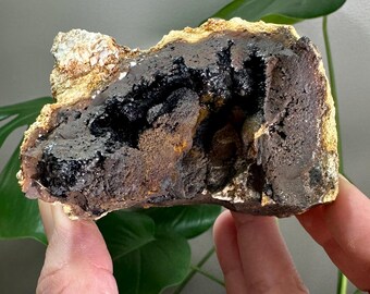 Goethite Geode from Poplar Bluff, Missouri USA