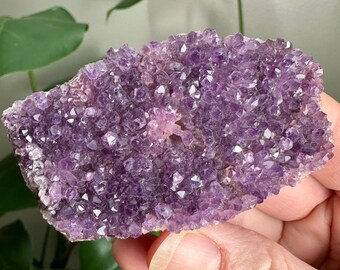 Alacam Amethyst cluster - From Turkey. 2.85” wide. 70 grams.
