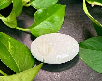 Lg Scolecite palm stone. 2.6” long
