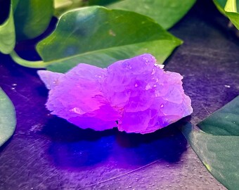UV reactive Pink Mushroom Calcite cluster