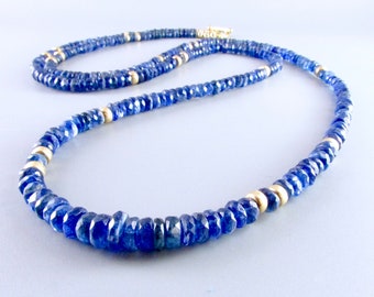 Blue Kyanite With Gold Accents Long Necklace