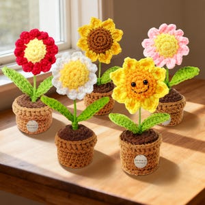 May include: A collection of handmade crochet flowers in small brown pots. The flowers are in various colors, including red, yellow, white, and pink, with green leaves. One yellow flower has a smiling face. Each pot has a small label that says "Believe in yourself."
