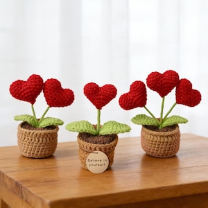 May include: Three crochet heart-shaped flowers in small woven pots. The red hearts sit atop green stems with green leaves. The pots are brown and one has a tag that says "Believe in yourself". The flowers are on a wooden surface.