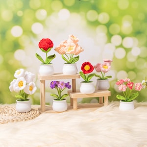 Handgemachte gehäkelte Blume im Topf, Maiglöckchen-Dekor, für immer Geschenk, gehäkelte Tulpe Sonnenblume Rose Daisy Pot, Geburtstagsgeschenke für sie, stricken