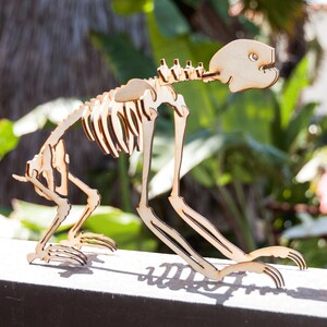 Three-Toed Sloth Skeleton Model / Puzzle Laser-Cut Baltic Birch image 2