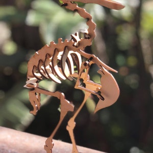 Dodo Bird Skeleton Birch Puzzle / Model - Laser-cut from 1/8" Baltic Birch - Based on Real Physiology!