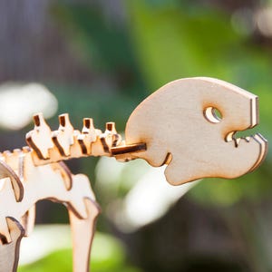 May include: A wooden dinosaur skeleton puzzle, featuring a light brown color. The puzzle is partially assembled, showcasing the head and spine. The background is a blurred green, suggesting an outdoor setting. This item is a craft project.