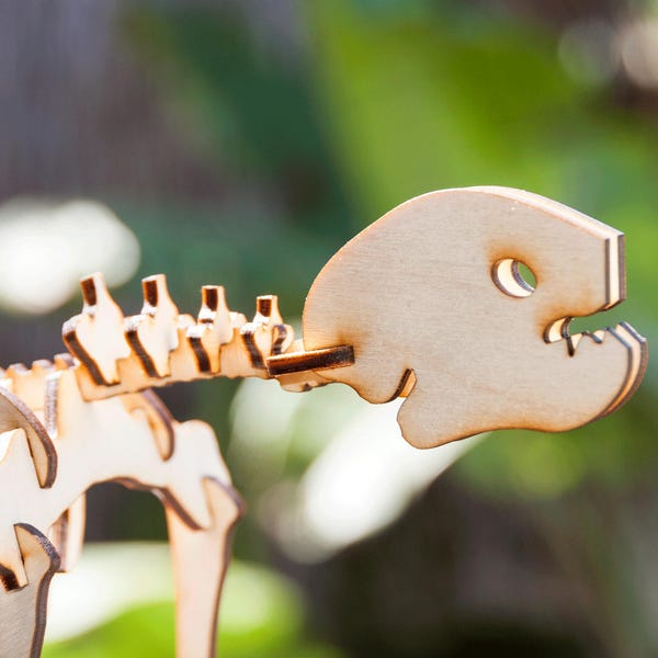 Three-Toed Sloth Skeleton Model / Puzzle - Laser-Cut Baltic Birch
