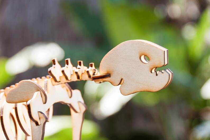 Three-Toed Sloth Skeleton Model / Puzzle Laser-Cut Baltic Birch image 1