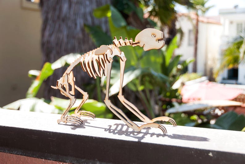 Three-Toed Sloth Skeleton Model / Puzzle Laser-Cut Baltic Birch image 2