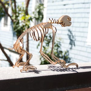 Three-Toed Sloth Skeleton Model / Puzzle Laser-Cut Baltic Birch image 4