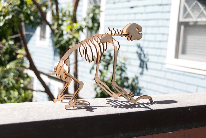 Three-Toed Sloth Skeleton Model / Puzzle Laser-Cut Baltic Birch image 4