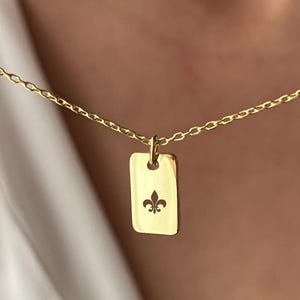 De fleur-de-lis-ketting • 14K verguld • Koninklijke sieraden • Cadeau voor Franse meisjes • Sieraden voor haar • Irisketting • Frankrijk cadeau