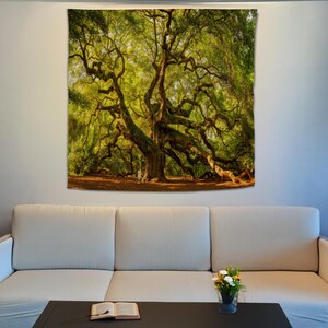 May include: A large, sprawling oak tree with thick branches and green leaves. The tree is in a field with a dirt path leading to it. The sun is shining through the leaves, creating a dappled light effect.