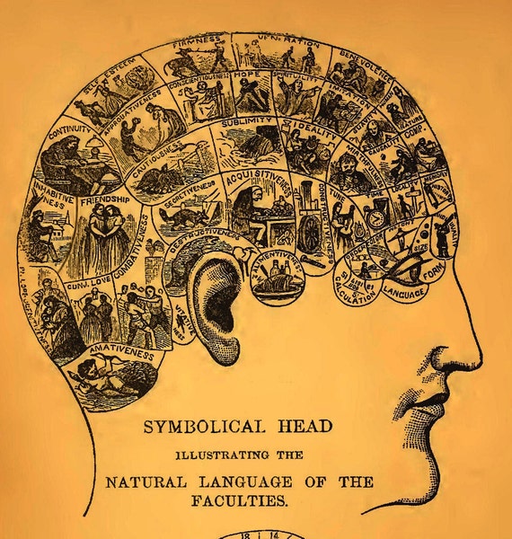 Phrenology Chart Poster