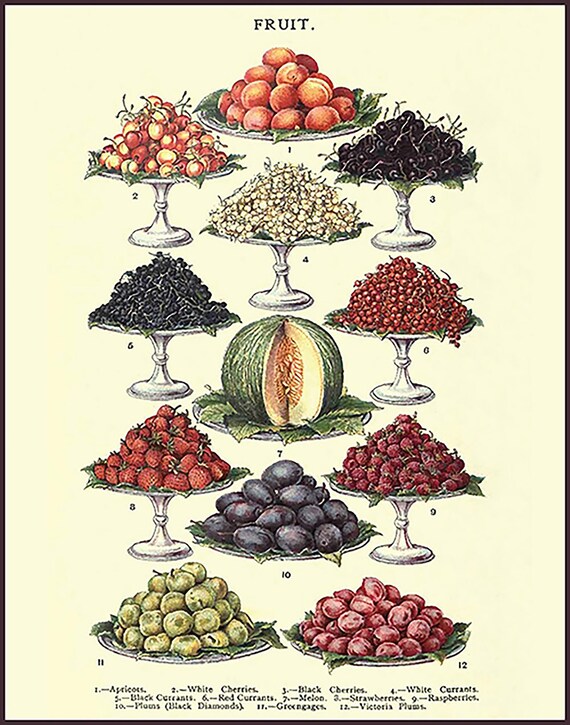 Vintage Fruit Poster Farmhouse Art Kitchen Chart Decor Food Farm House