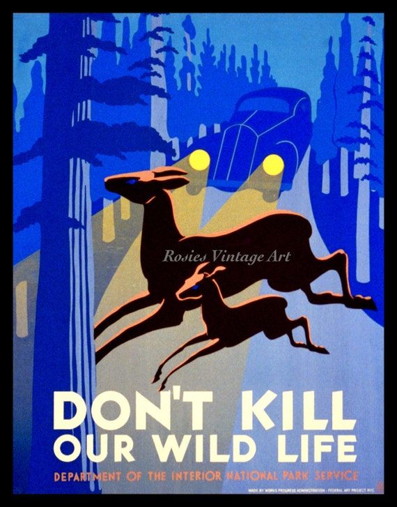 Deer Drinking Vintage Art POSTER Wild Life National Parks