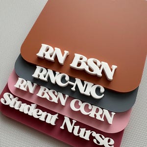 RN Badge Buddy Custom Gift for Healthcare Worker Personalized Gift for Badge Reel Custom Badge Buddy Acrylic Badge Backer Gift for Nurse