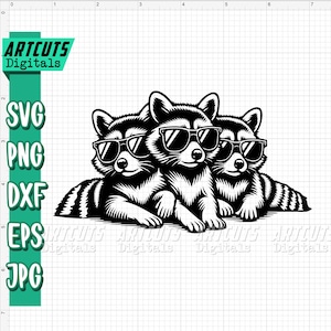 Raccoon svg | Street Cat Clipart | Trash Panda Cutfile | Cute Raccoon Family dxf | Funny Animal Shirt png | Woodland | Meme Panda Cats jpeg