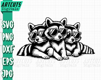 Raccoon svg | Street Cat Clipart | Trash Panda Cutfile | Cute Raccoon Family dxf | Funny Animal Shirt png | Woodland | Meme Panda Cats jpeg