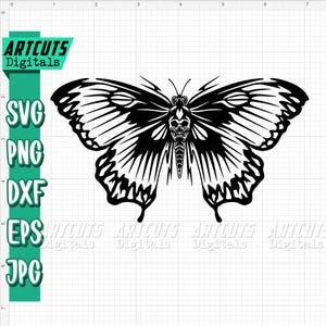Moth svg | Skull Moth Clipart | Butterfly Cutfile | Goth Animal dxf | Flying Insects | Butterfly Garden | Skull Animal| Cute Zoo Safari Life