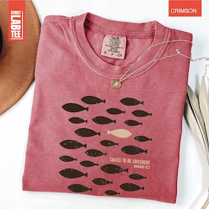 Puede incluir: Camiseta de color carmes&iacute; con cuello redondo y mangas cortas. La camiseta presenta un gr&aacute;fico de peces, con un pez de un color diferente. El texto en la camiseta dice "CALLED TO BE DIFFERENT ROMANS 12:2".