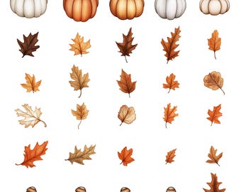 Autumn Pumpkin & Leaf Clipart Pack | Fall Acorns, Leaves and Pumpkins Illustration Set | Digital Download, 30 ct