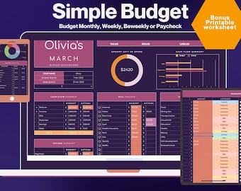 Planificador de presupuesto para principiantes / Plantilla de presupuesto de Google Sheets (Digital)