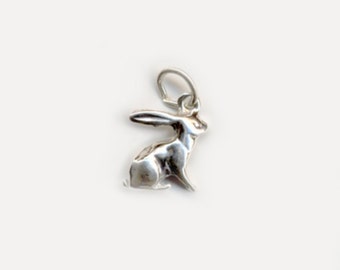 Rabbit Charm with leather necklace