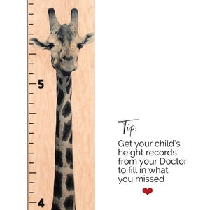 May include: A wooden height chart featuring a giraffe illustration. The chart has black markings for height measurements in feet, with the giraffe's head and neck prominently displayed. Text reads "Tip: Get your child's height records from your Doctor to fill in what you missed."