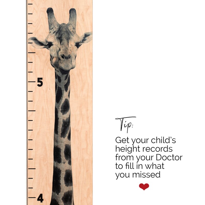 May include: A wooden height chart featuring a giraffe illustration. The chart has black markings for height measurements in feet, with the giraffe's head and neck prominently displayed. Text reads "Tip: Get your child's height records from your Doctor to fill in what you missed."