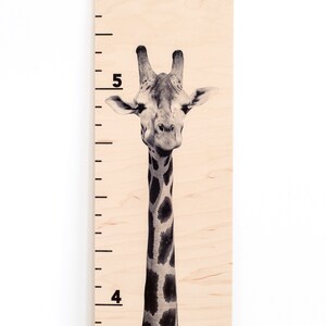 May include: A wooden growth chart with a black and white giraffe image. The chart has numbers 4 and 5 printed on it.