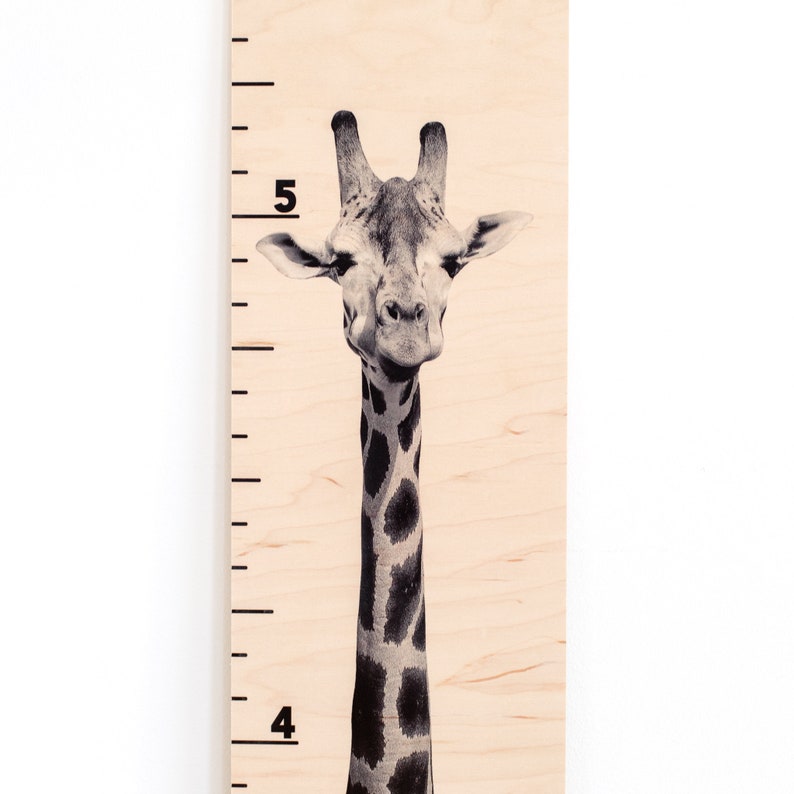 May include: A wooden growth chart with a black and white giraffe image. The chart has numbers 4 and 5 printed on it.