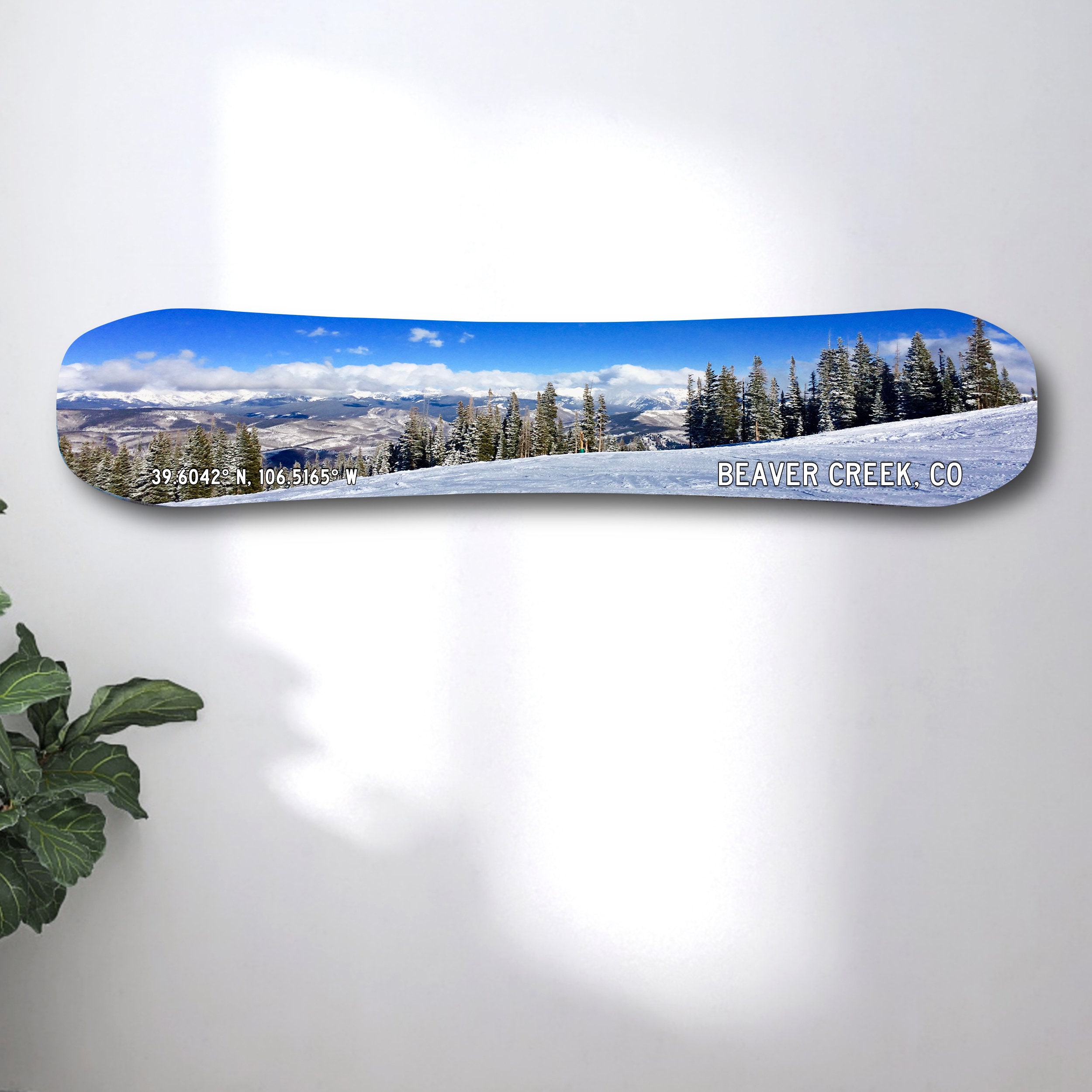 【美品】COLORADO  BOARDS BOA付 25cm 美品】COLORADO SNOW BOARDS BOA付 25cm