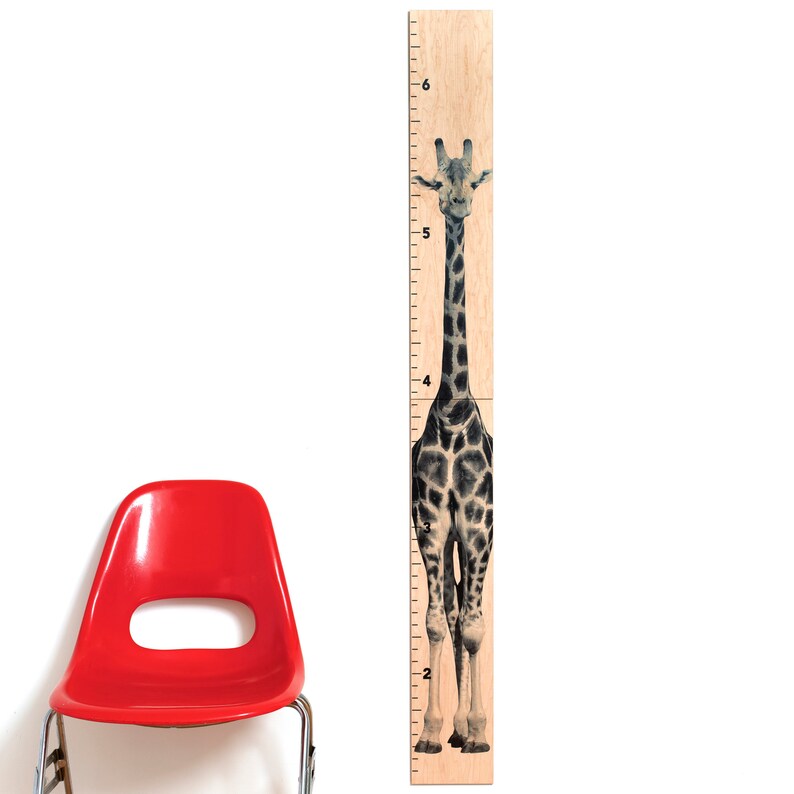 May include: A wooden growth chart featuring a giraffe illustration. The chart is marked with inch increments from 2 to 6 feet. The giraffe has a black and white spotted pattern. A red chair is in the background.