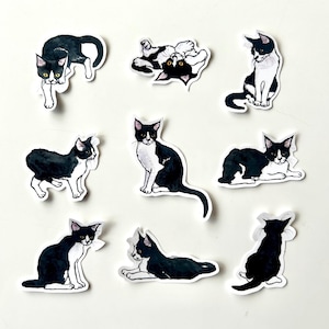Nine Lives Tuxedo Cat Hand-cut Sticker Set - NOW WATERPROOF