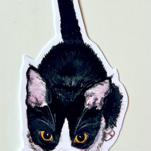 Too Cute Tuxedo Kitty Cat Watercolour Hand-cut Sticker - NOW WATERPROOF