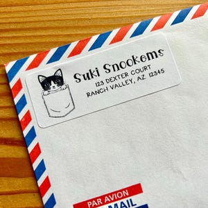 Pocket Kitty Address Labels - set of 30
