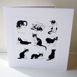 Nine Lives Greeting Card with Black and White Tuxedo Cat