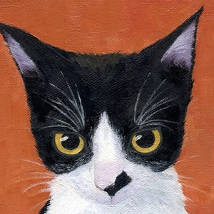 Suki Stare Greeting Card with Black and White Tuxedo Cat