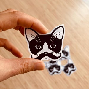 Adesivo de gatinho de bigode/bigode cortado à mão - AGORA À PROVA D'ÁGUA