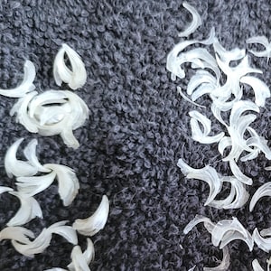 May include: An overhead shot displays numerous translucent, white, petal-like objects scattered on a dark gray, textured surface. The objects are curved and vary in size, resembling flower petals or decorative elements. The arrangement is both clustered and dispersed.
