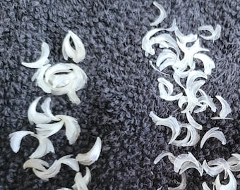 May include: An overhead shot displays numerous translucent, white, petal-like objects scattered on a dark gray, textured surface. The objects are curved and vary in size, resembling flower petals or decorative elements. The arrangement is both clustered and dispersed.
