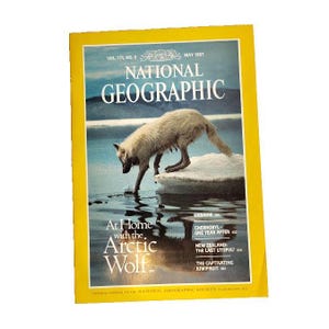 National Geographic Magazine At Home with the Artic Wolf May 1987 Vol 171 No 5