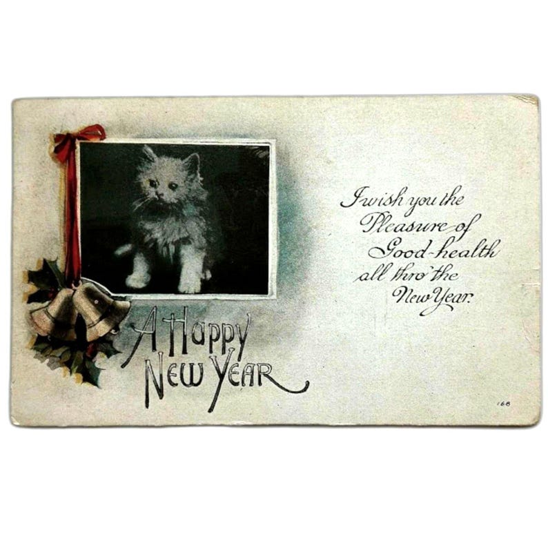 New Year Kittens Postcard Posted Series 196 Washington Red 2 Cent Stamp Vtg 画像 1