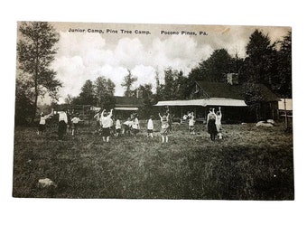 Pine Tree Camp Pocono Pines PA Junior Camp Postcard Unposted Vintage